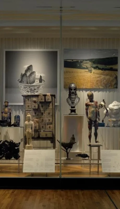 la-galerie-del-homme---1001-fa-ons-de-penser-le-monde-jpg.