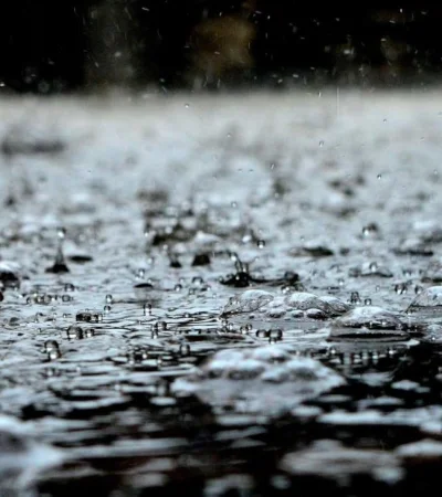 pexels-pixabay-459451-jpg.