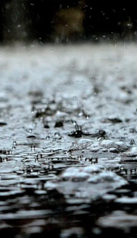 pexels-pixabay-459451-jpg.