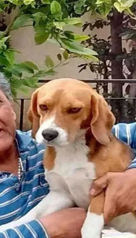 oscar-centenojpg-jpg.