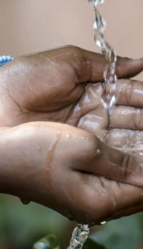 doble-llave-el-colera-un-riesgo-por-prevenir-jpg.