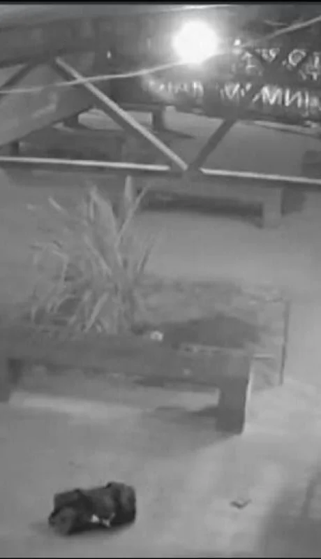 whatsapp-image-2024-03-07-at-11-45-04-2-jpeg.