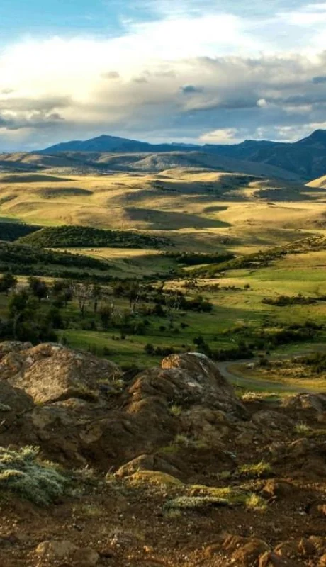 pexels-jan-zakelj-13628540-jpg.