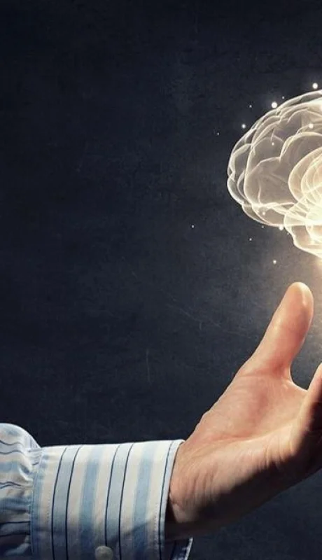 cuales-son-los-13-factores-que-dan-forma-a-la-salud-del-cerebro-jpg.