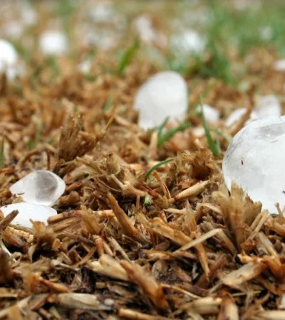 hailstone-1614239-1280-jpg.