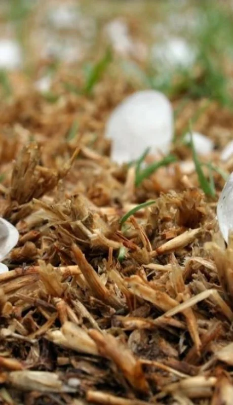 hailstone-1614239-1280-jpg.