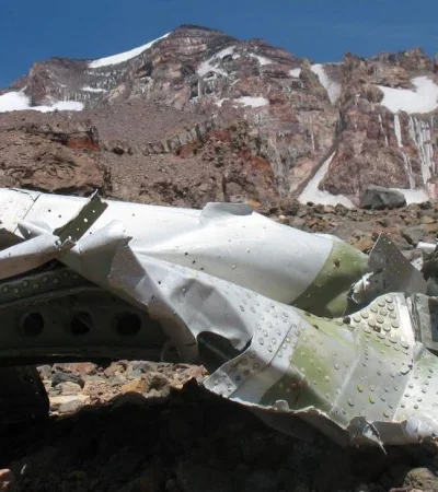 avion-de-los-caballos-dolares-jpg.