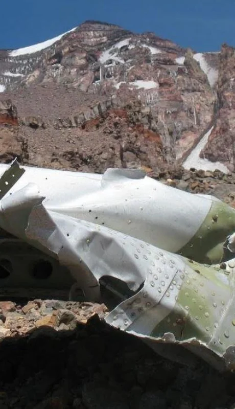 avion-de-los-caballos-dolares-jpg.