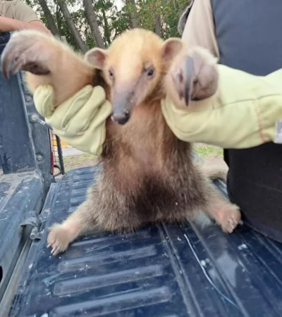 whatsapp-image-2024-03-12-at-21-59-00-jpeg.