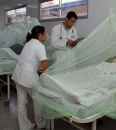 Un modelo de inferencia bayesiana es muy útil para analizar un sistema tan complejo como la epidemia del dengue.