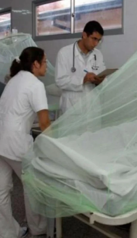 Un modelo de inferencia bayesiana es muy útil para analizar un sistema tan complejo como la epidemia del dengue.