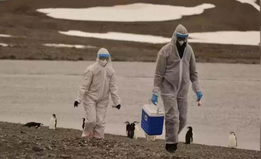 cientificos-antartida-jpg.