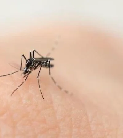 whatsapp-image-2024-03-06-at-12-02-02-1-jpeg.