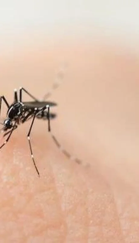 whatsapp-image-2024-03-06-at-12-02-02-1-jpeg.