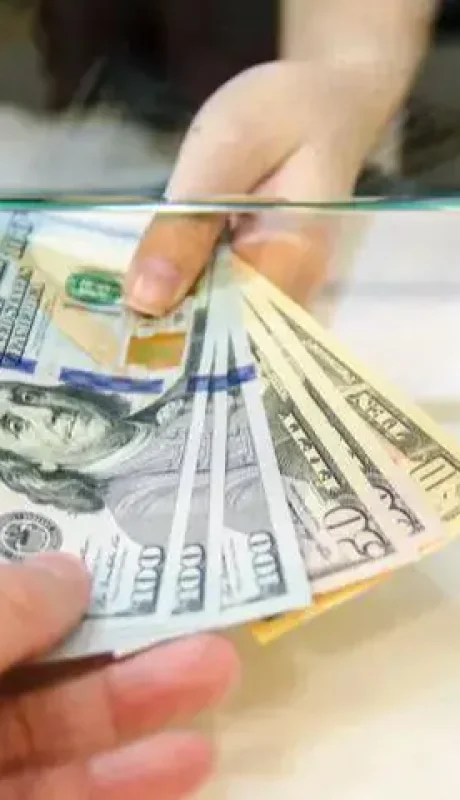 5c8a555abe47b-896-607jpgseeb410340220d9523236e8fd1d760a23d1651084946-jpg-webp.