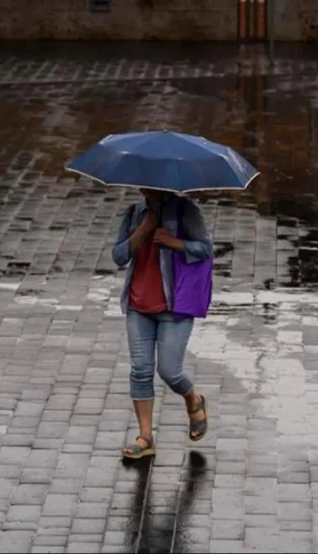 Las lluvias afectarán principalmente hoy lunes a la Patagonia.