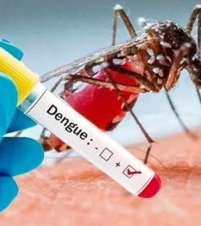 dengue