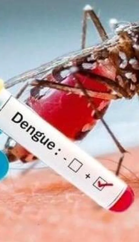dengue