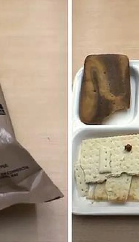 5ef2fd449ff2d-military-food-ration-coverimage2-jpg.