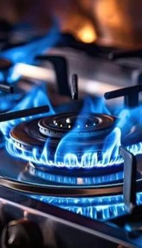 whatsapp-image-2024-03-27-at-08-58-47-1-jpeg.