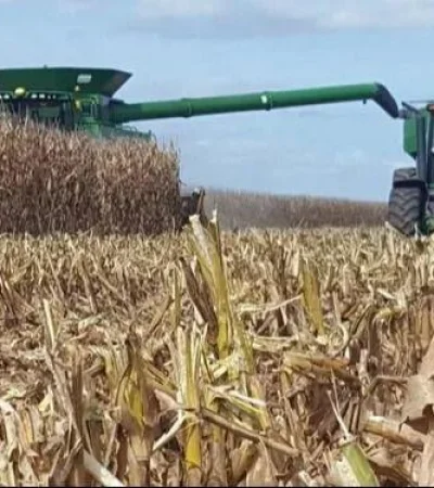 whatsapp-image-2024-03-21-at-16-32-47-jpeg.