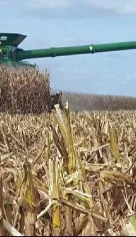 whatsapp-image-2024-03-21-at-16-32-47-jpeg.