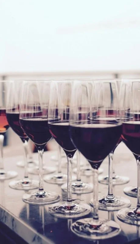 pexels-timur-saglambilek-66636-jpg.