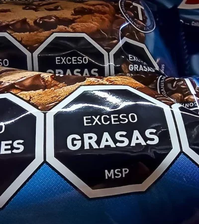 galletas-kiosco-alimentos-octogonos-negros-png.