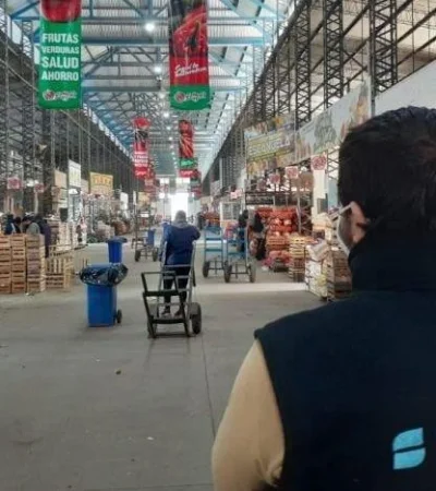 senasa15-768x576-jpeg.