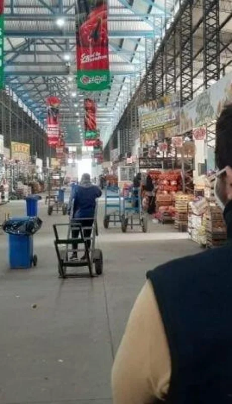 senasa15-768x576-jpeg.