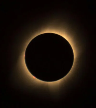 pexels-drew-rae-580679-jpg.