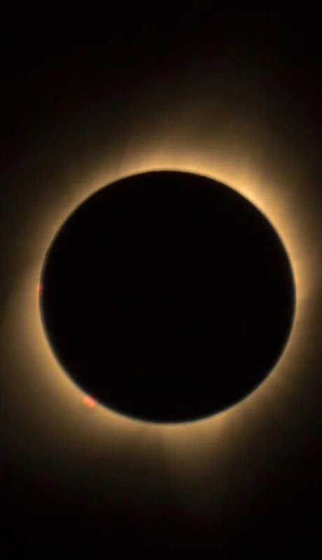 pexels-drew-rae-580679-jpg.