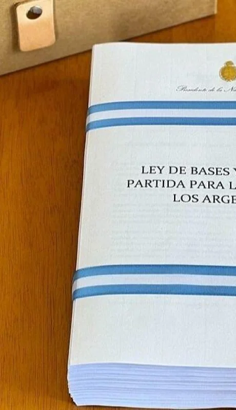 La Ley Bases