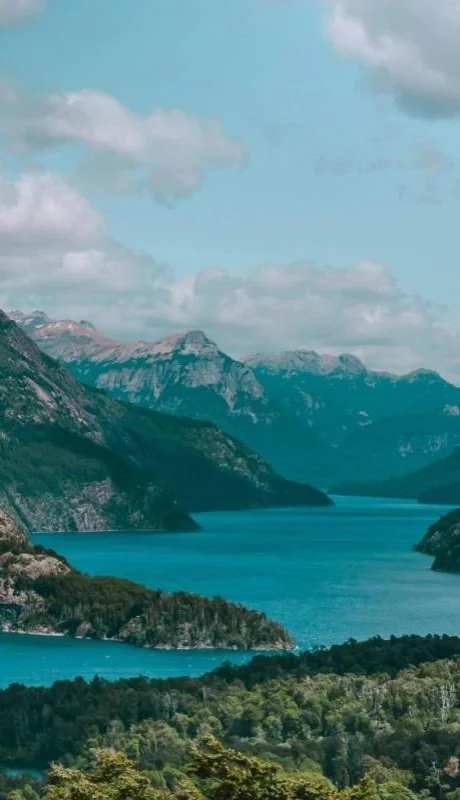 pexels-kristina-gain-1950685-4596205-jpg.