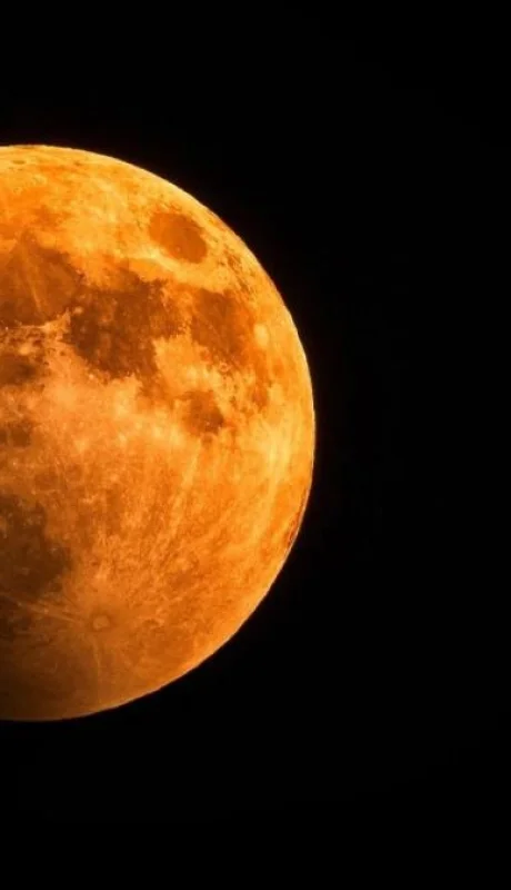 pexels-george-desipris-1276314-jpg.