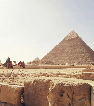 pexels-amr-osama-467591-3958516-jpg.