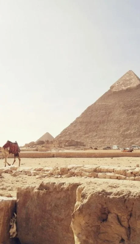 pexels-amr-osama-467591-3958516-jpg.