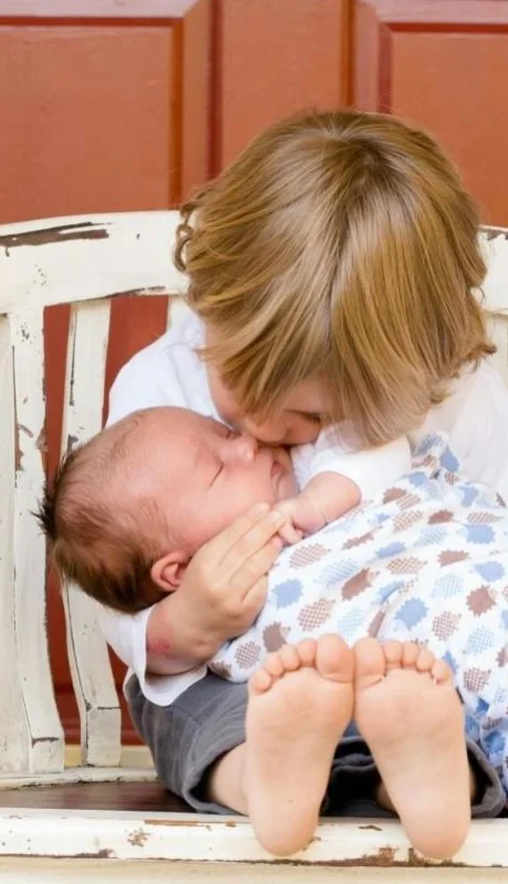 pexels-pixabay-50601-jpg.