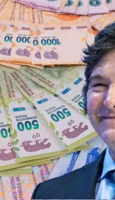 milei-pesos-mercado-png.