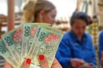 ¿No cobraste Volver al Trabajo? El motivo y cómo solucionarlo