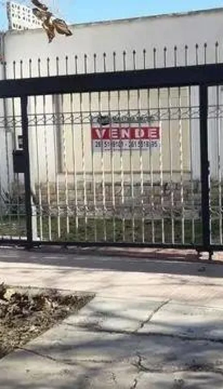 e431bedc-7614-43d9-9d91-c7ec32277407-u-small-jpg.