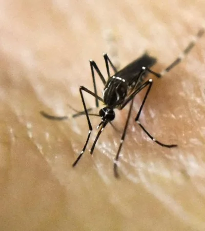 1705936531240122317-jpg.