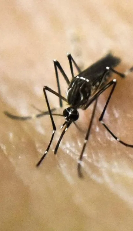 1705936531240122317-jpg.