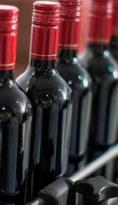 botellas-vino-jpg.