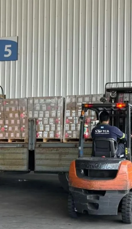 cargamento-repelentes-jpg.