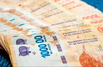 El sueldo registrado detuvo la recuperación en agosto tras cinco meses de mejora