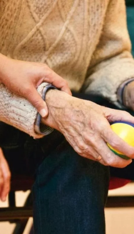 pexels-matthiaszomer-339620-jpg.