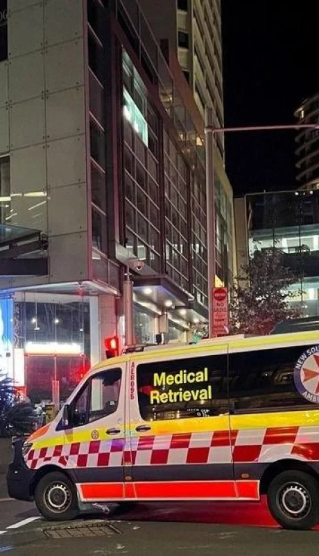 lmcjsb5bj-1256x620-1-jpg.