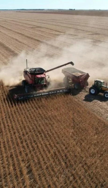 cosecha-de-soja-jpeg.