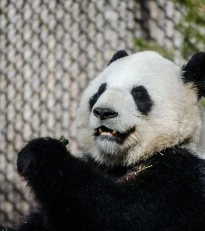 pexels-kayla-s-4444037-jpg.